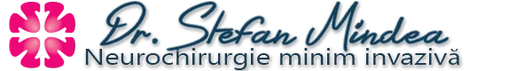 Dr. Stefan Mindea Cooperation ERCM